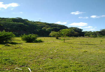 Vente Terrain Ile Sainte Marie Madagascar Ile sainte-marie