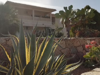 Location Appartement cosy 600m des plages Propriano Corse