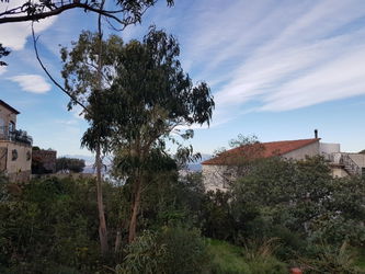 Vente ROSES- PUIG ROM- TERRAIN PLAT VUE MER Espagne