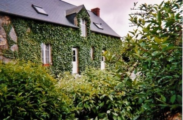 Location gîte Boyau Bouère Mayenne