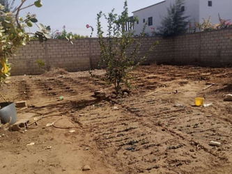 Vente Terrain 1013m2 somone Sénégal