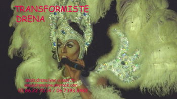 DRENA Spectacle transformiste pour toute 5 Nevers Nièvre