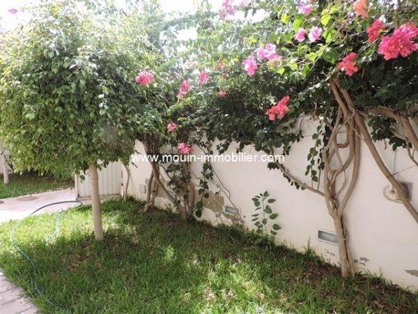 Location Villa des ficus Mrezka Nabeul Tunisie