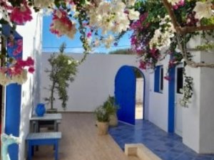 Vente villa djerba midoun Tunisie