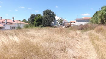 Terrain urbain construire 1 ou plusieurs maisons près Caldas da Rainha