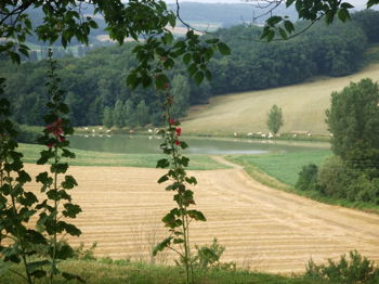 Location g&amp;icirc te rural 4 épis pleine nature Blaymont Lot et Garonne