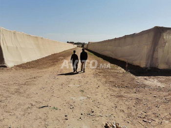 Vente Titrée Agricole grande terrain agadir timsia 7 HECTAR Maroc