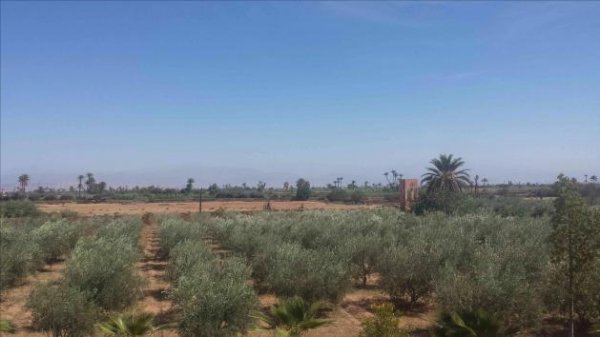 vente 1 ferme agricole 4 hectares Marrakech Maroc