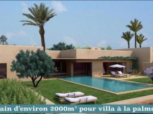 Vente Lots terrain viabilisés pour villas isolée Marrakech Maroc