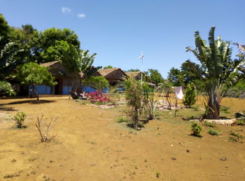 Vente Terrain constructible 1800m² face Nosy Bé Nosy Komba Ile Nosy Be