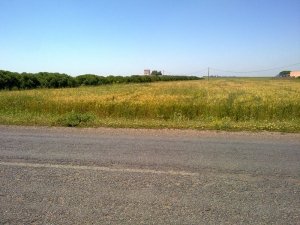 Vente Terrain agricole titré 3 hictars 2 fa&amp;ccedil ade goudronnée près aéroport Oujda Angad