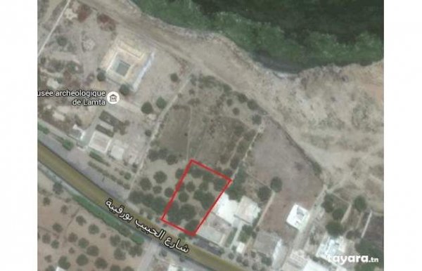 Vente 4 lots terrain Lamta constructibles Gvt Monastir Metlaoui Tunisie