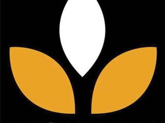 LINGUA MADA votre Translation Agency Madagascar Antananarivo