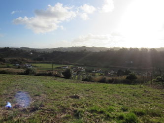 Vente Excellent Terrain pour construction 2 maisons Leiria Portugal