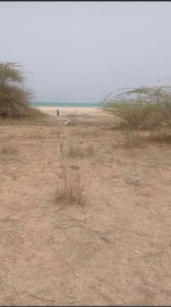 Vente terrain 03 Hectares pieds dans l'eau Mbodienne Sénégal
