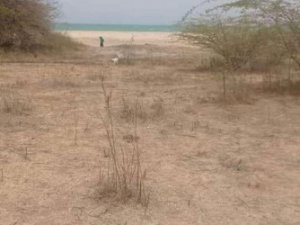 Vente terrain 03 Hectares pieds dans l&#039;eau Mbodienne Sénégal