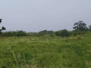 Vente NGAPAROU TERRAIN 600m² ZONE RESIDENDIELLE Saly Portudal Sénégal