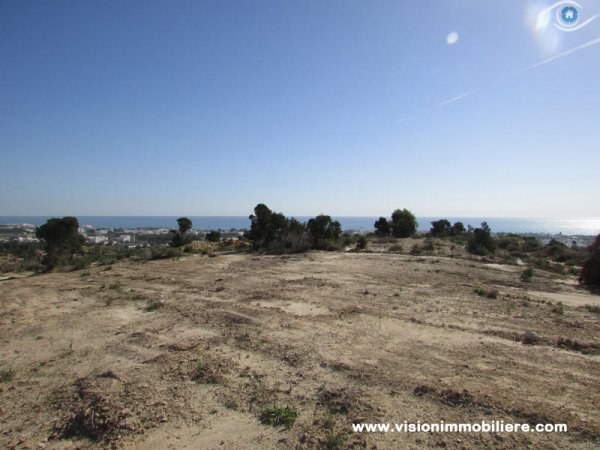 Vente terrain Adem Hammamet Tunisie