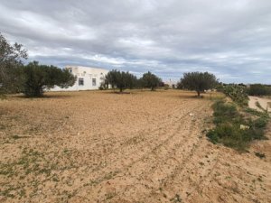 Vente terrain Djerba Tunisie