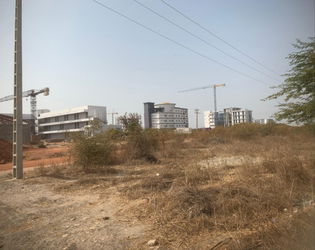 Vente Terrain titre foncier 07 hectares Diamniado Dakar Sénégal