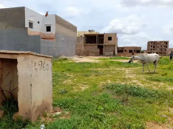 Vente Des terrains 300m2 somone Sénégal