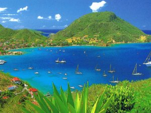 Emplacement n 1 vends Fonds commerce île Terre-de-Haut Guadeloupe