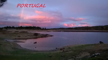 Vente terrain loisirs Castelo Branco Portugal