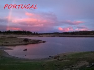 Vente terrain loisirs Castelo Branco Portugal