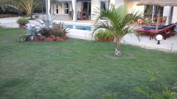 Location Chambre d&#039;hôte piscine Nianing Sénégal