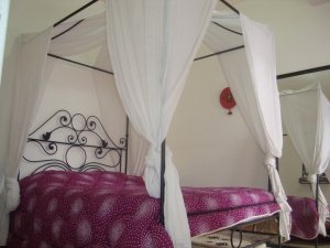 location appartement meublé courte séjour Tunis Tunisie