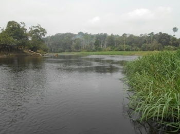 Location 500 Hectares Terrain agricole à Mengang /Cameroun Montréal