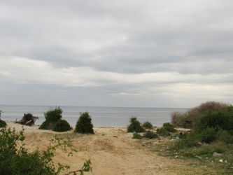 Vente Appartements S2 Spacieux Vue Mer Sousse Tunisie